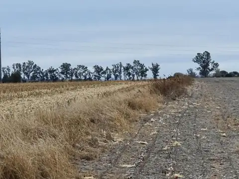 Venta Campo 7 has. Sobre ruta a  Alta Gracia