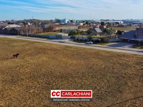 Fischer y Los Helechos