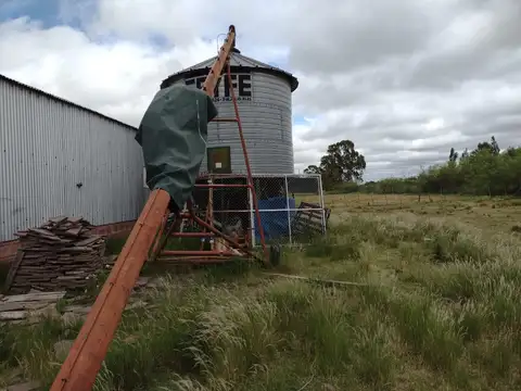 Galpon en Alquiler en Carmen De Areco, USD 1