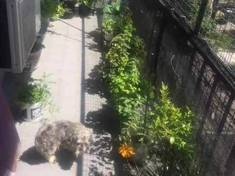 Departamento 4 ambientes con 1 baño