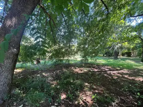 Coronel Charlone 3100