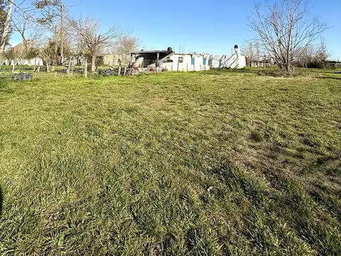 Tomas del moro al 300