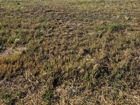 Terreno en Venta de 360,0 m2