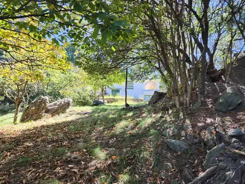 Pública 100, Piso 00