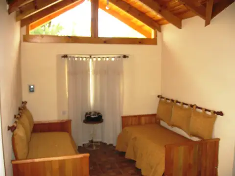 Carlos Pellegrini 100