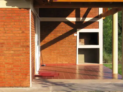 Carlos Pellegrini 100