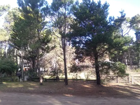 Terreno en Venta 15  mts Frente