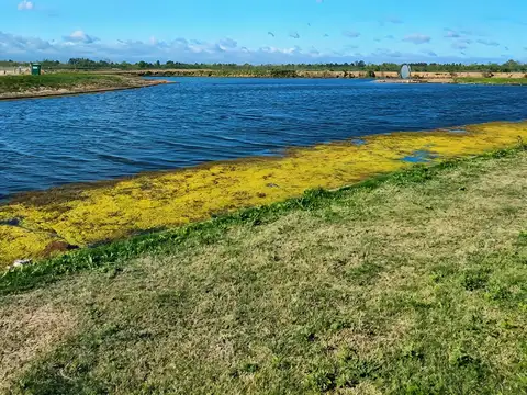 Terreno en Venta de 973,0 m2