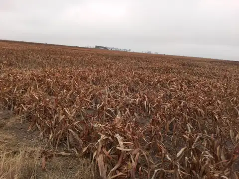 Noetinger - Córdoba