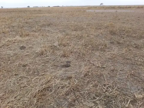 110 Hectaréas en Cordoba - para Siembra - molino con tanque