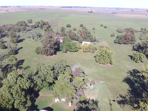 300 Has.  s/ RUTA 36