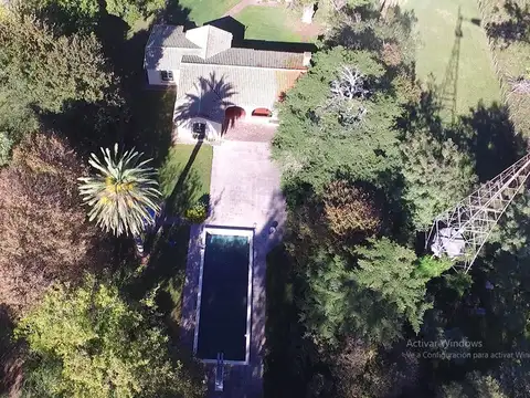 300 Has.  s/ RUTA 36