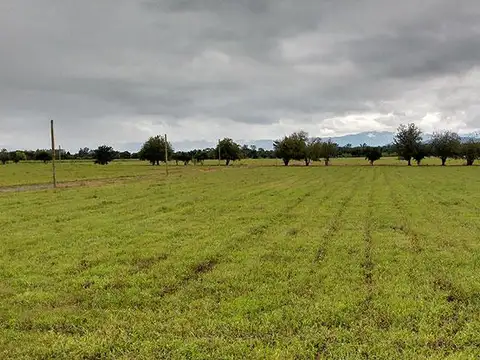 Terreno en Venta de 648,0 m2