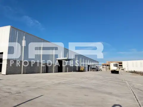 A ESTRENAR! 4200m2 CUBIERTOS CON ALTURA DE 14MTS + PLAYON. CATEGORIA 3, POLIGONO SPEGAZZINI