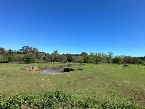 Terreno en Venta de 67799,0 m2