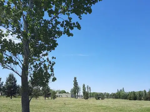 Terreno en Venta 56  mts Fondo