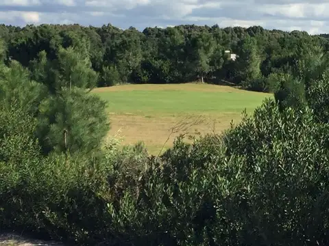 Casa  en Venta ubicado en Costa Esmeralda, Costa Atlántica, Buenos Aires - MMO0013_LP480363_1