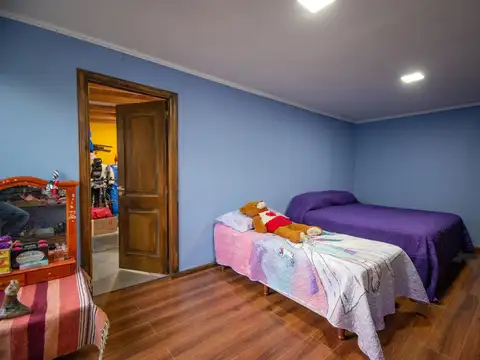 Chorlo Doble Collar y Halcón Peregrino