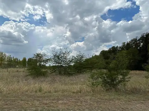 Ubicadas Sobre Ruta 42