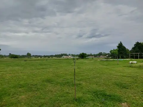 Terreno en Venta de 55000,0 m2