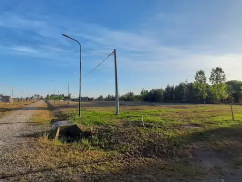 Terreno en Venta de 330,0 m2