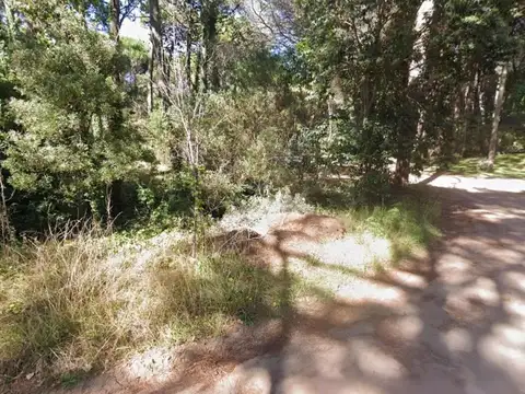 Terreno en venta - 1.004Mts2 - Cariló