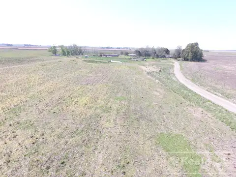 Chacra en Venta de 34 has en Lezama. Ideal para Producir y Disfrutar