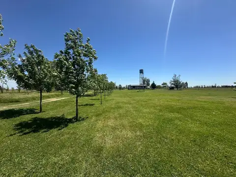Campo tipo Chacra San Antonio de Areco
