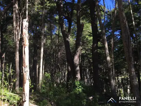 Terreno en Venta de 756,0 m2