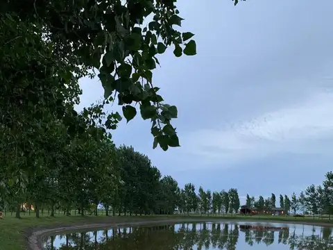 Lote  en venta en Chacras de Abbott, Monte