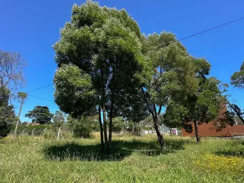 Venta lote 377 m2 en los Acantilados