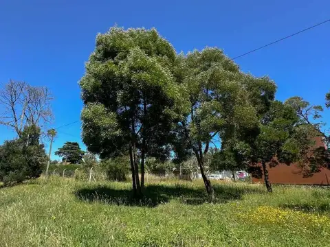 Terreno en Venta en Los Acantilados, USD 21.500