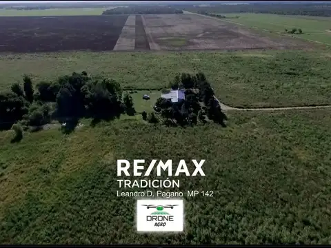 Campo en Venta – 77has Colonia José Mármol