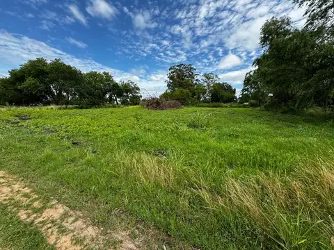 Prof Sergio Pesaro 400