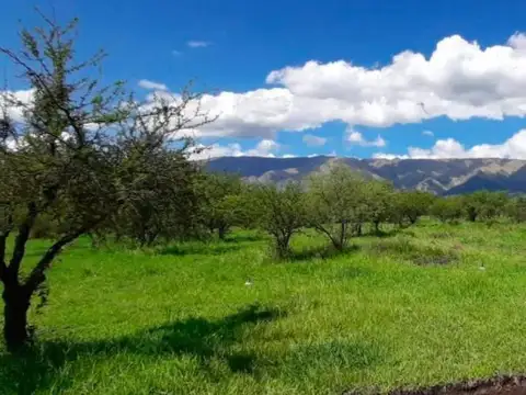 Terreno en Venta 33  mts Fondo