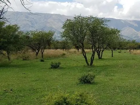 Terreno en Venta de 500,0 m2