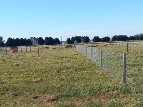 Terreno en Venta de 300,0 m2