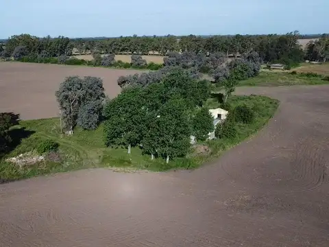 Terreno en Venta de 350000,0 m2