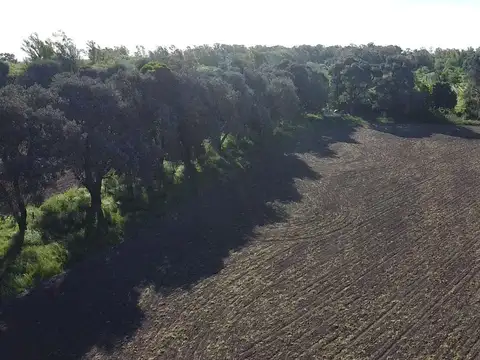 Solís - San Andrés de Giles