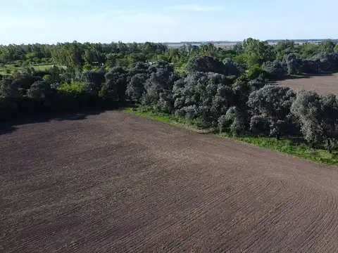 Terreno en Venta de 350000,0 m2