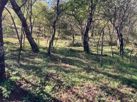 VENTA LOTE DE 1100 MT2 EN CABANA UNQUILLO