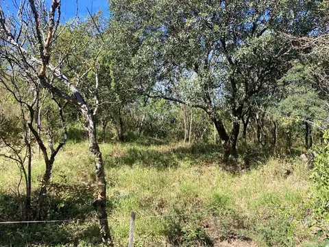 Terreno en Venta de 1100,0 m2