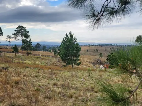 Terreno en Venta 12  mts Fondo