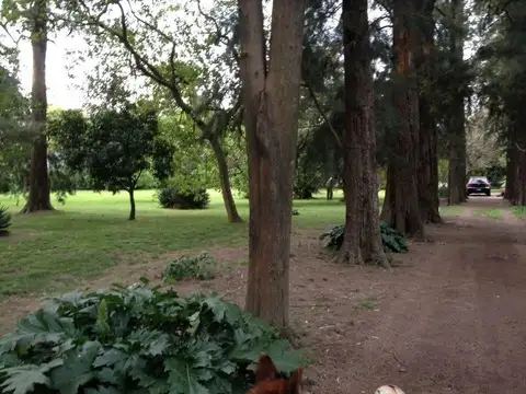 OPORTUNIDAD VENTA 19 LOTES BARRIO CERRADO VILLA UDAONDO