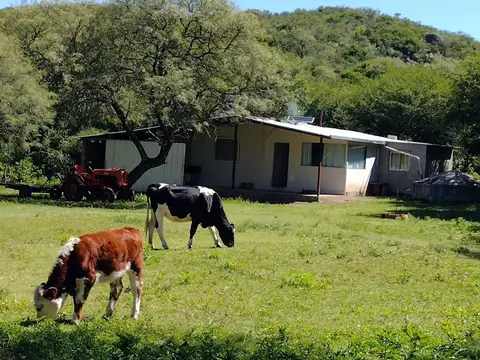 VENDO Campo 30 hs y Casa con un arroyo propio en Tulumba 