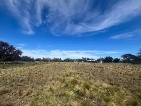 Terreno en Bassi entre Tero y Lechuza