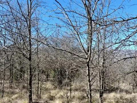 Terreno 6has - Nono, Traslasierra