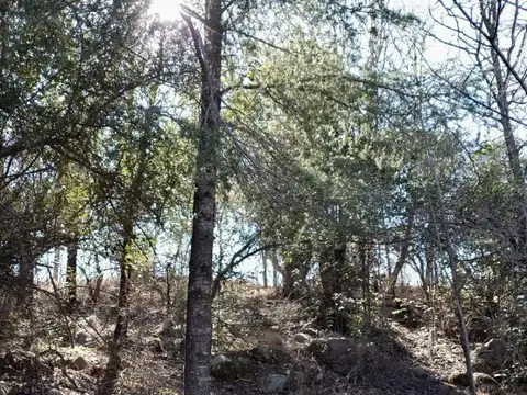 Terreno 6has - Nono, Traslasierra