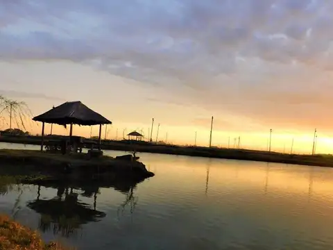 Avenida Espora y Avenida 41