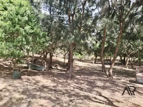 Terreno en Venta 50  mts Fondo